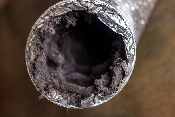 Best Professional Duct Cleaning Services  in Lansing, MI